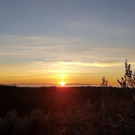 Apartamento Il Panorama Montescudaio Exterior foto