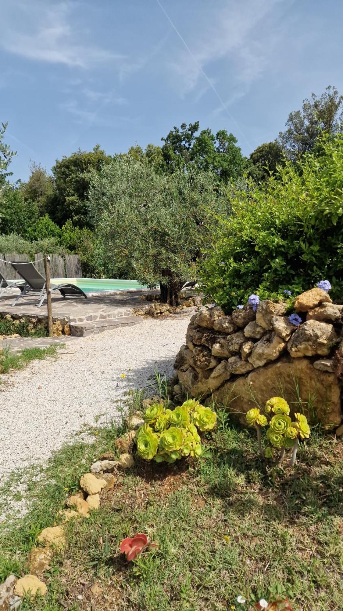 Apartamento Il Panorama Montescudaio Exterior foto