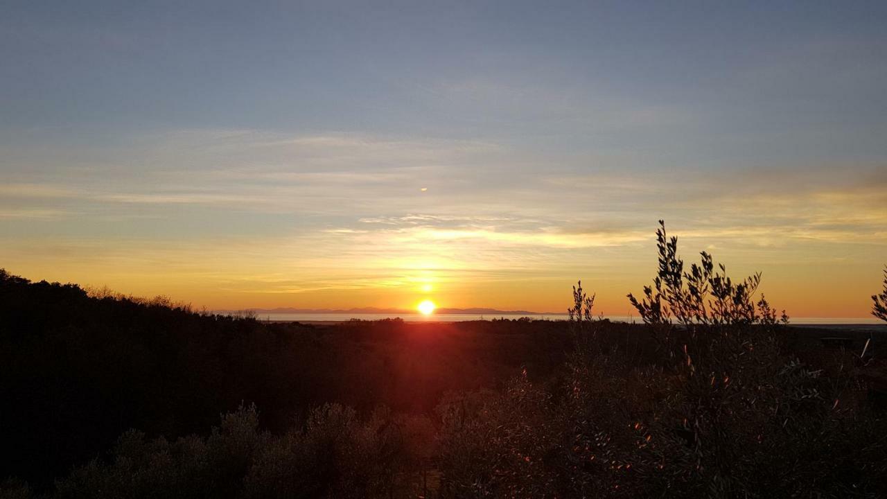 Apartamento Il Panorama Montescudaio Exterior foto