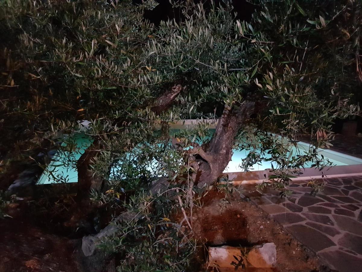 Apartamento Il Panorama Montescudaio Exterior foto